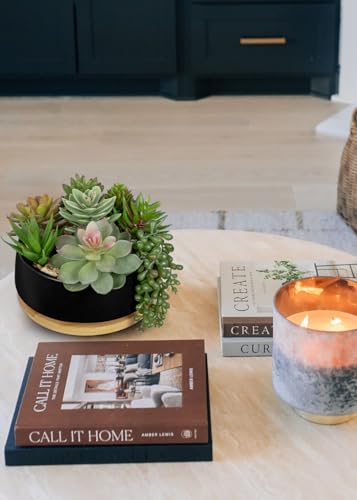 Artificial Succulent Plants in Pot 5.5 Inch Fake Succulents Arrangement Potted Plant in Black Ceramic Planter Bowl with Wood Saucer for Home Office Desk Shelf Living Room Bedroom Bathroom Decor (Black Ceramic With Saucer#style 2)