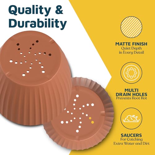 Terracotta 6 Inch Plant Pots with Drainage & Saucers 24 Pack (Terracotta / Pack of 24)