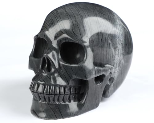 5.0" Black Picasso Jasper Crystal Skull (Skullis 5.0" Black Picasso Jasper 50)