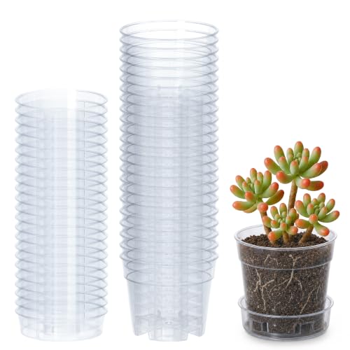 3 Inch Clear Plastic Plant Pot with Drainage Holes (3" x 2.5")