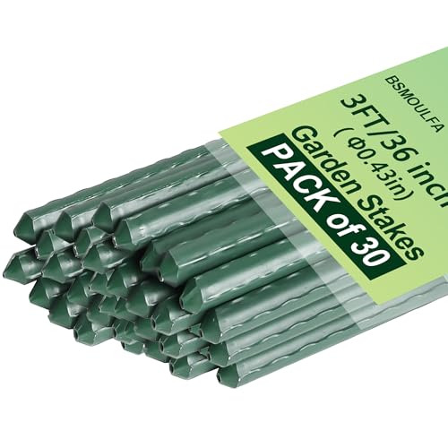 Garden Stakes 3ft (30 Count)