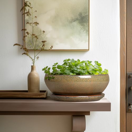 Bonsai Planter (10 Inch / Speckled Brown)