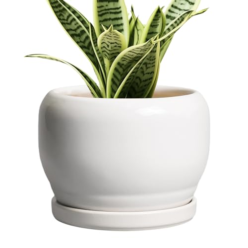 Ceramic Flower Pots