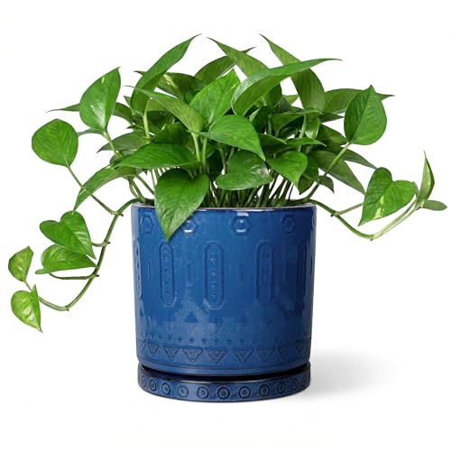 Ceramic Planter (6 Inch / Blue - 2)