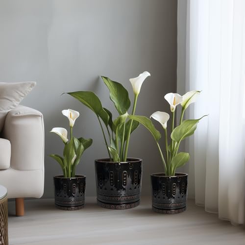 6 Inch Plant Pot (6 Inch / Black - 2)