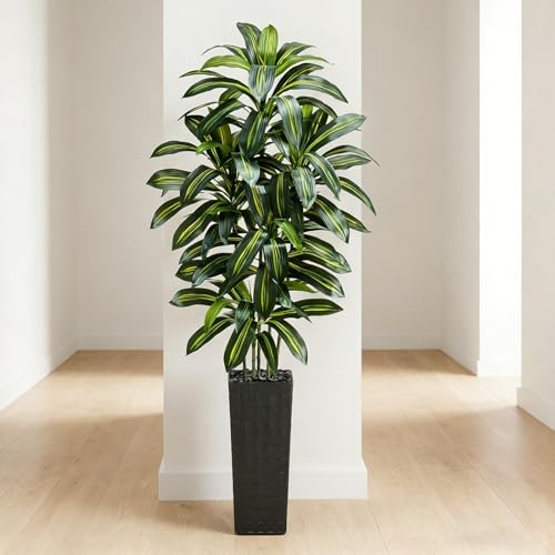 Artificial Dracaena Tree (Dark Green – Black Pot / 7FT)
