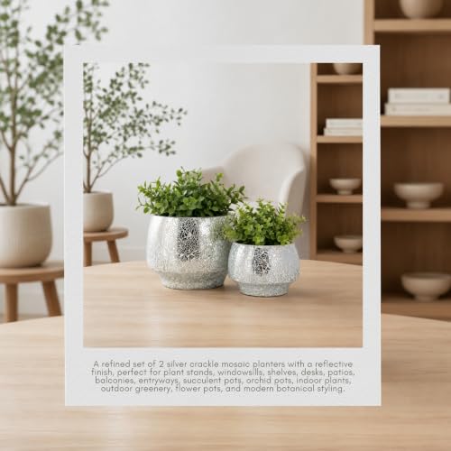 Flower Pots and Planters for Home Decor (2 Count)