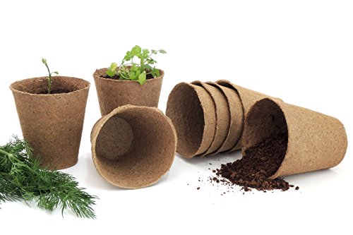 4" Naked Pots (30 Count)