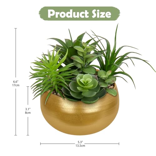 Fake Plants Artificial Succulents in Pots Faux Succulent Arrangement Potted Plant in Gold Ceramic Planter Bowl for Home Decor Office Desk Bathroom Shelf Living Room Indoor Decorations (Premium Gold)