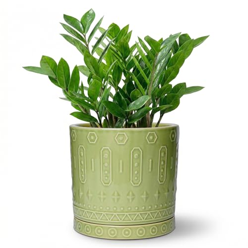 Ceramic Pots for Plants (8 Inch / Green - 2)