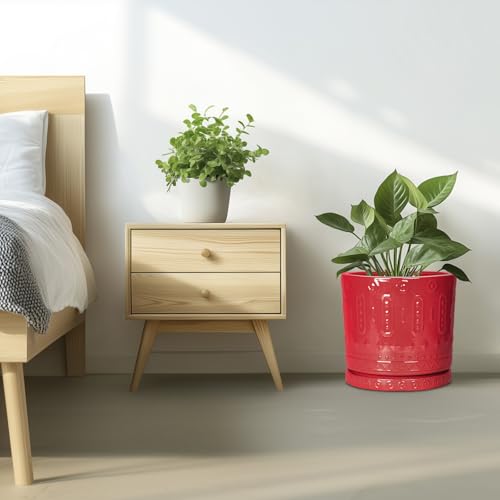 12 Inch Pots for Plants (12 Inch / Red)