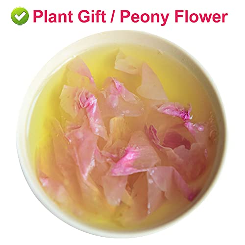 100% Pure Herbaceous Peony Tea