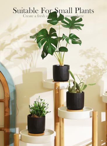 4 Inch Ceramic Plant Pots (Stripe Pure Black)