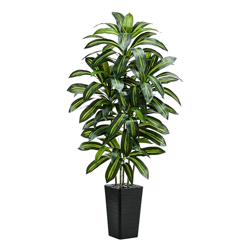 Artificial Dracaena Tree (Dark Green – Black Pot / 6FT)