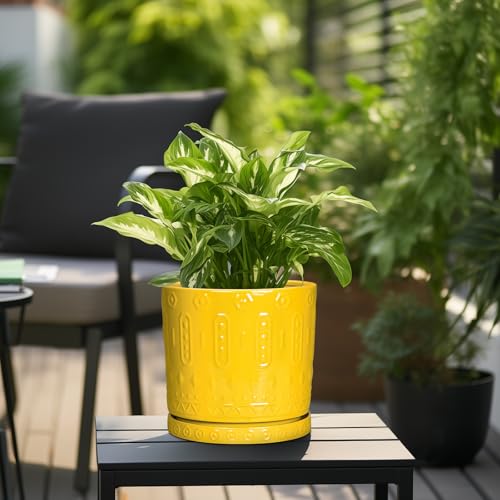 Ceramic Pots for Plants (10 Inch / Yellow)