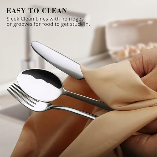 Silverware Set (10 Piece / Silver)