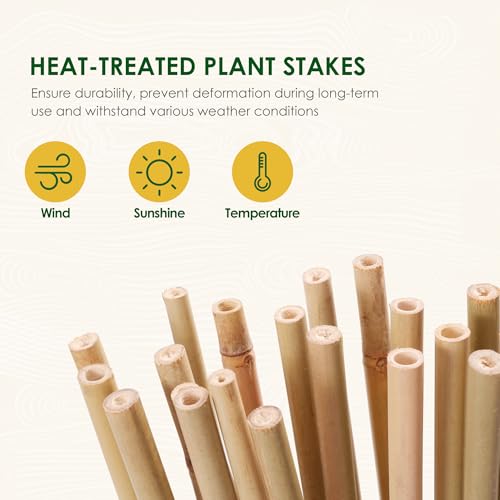 Bamboo Stakes (50 Count)