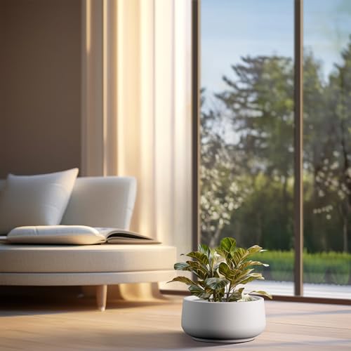 Accent Round Bowl White Concrete Planter 14.2" Dia (White / 13.4" Dia)