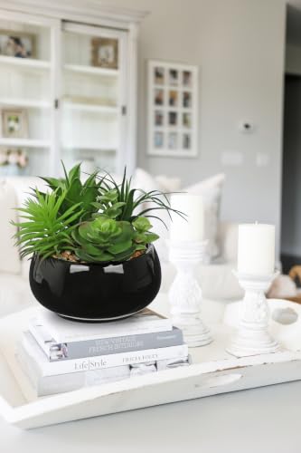 Artificial Succulents in Pots Fake Plants Faux Succulent Arrangement Potted Plant in Vase Black Ceramic Planter Bowl for Office Desk Bathroom Shelf Living Room Indoor Outdoor Home Decor (Black)