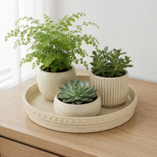 Plant Saucers (Beige White 12″)