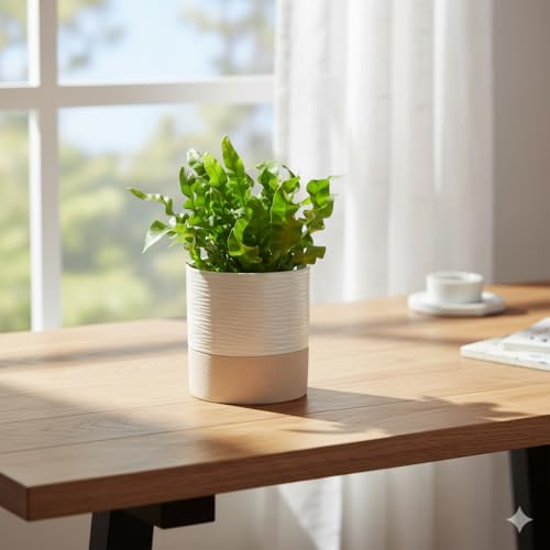 Ceramic Self Watering Plant Pot for Indoor Plants (Cream White & Brown / 4.5"+4.5" Self Watering)