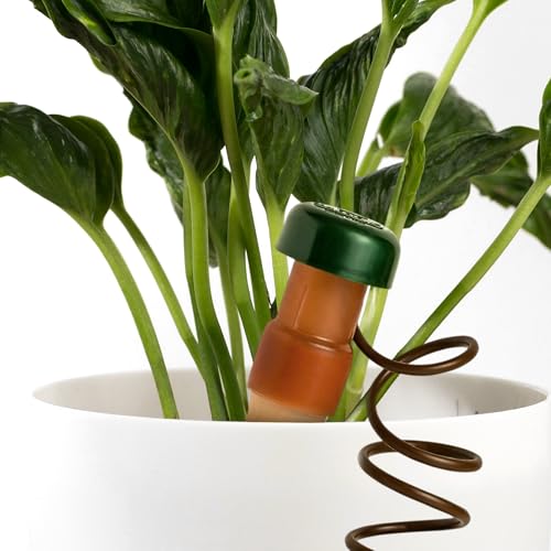 Classic Self Watering Stakes