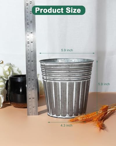 6 Inch Silver Metal Rustic Flower Pots (6 Count)