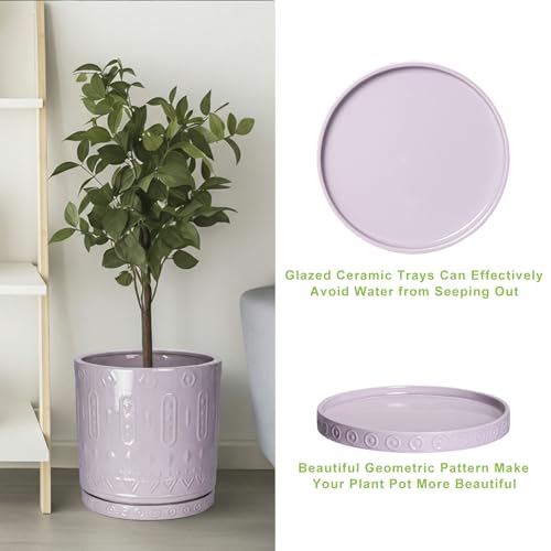 Plant Plates to Catch Water (9.3 Inch / Purple)