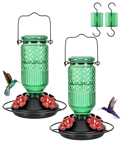 Glass Hummingbird Feeder 2 Pack (Green)