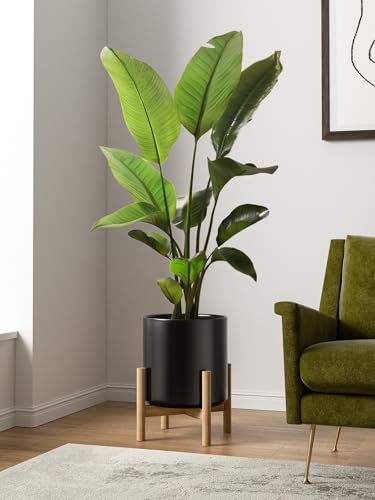 12 Inch Pot for Plants (12 Inch / Black)
