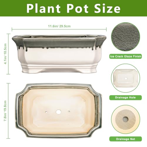 Ceramic Bonsai Pots (11 Inch / Rectangular Beige-grey)
