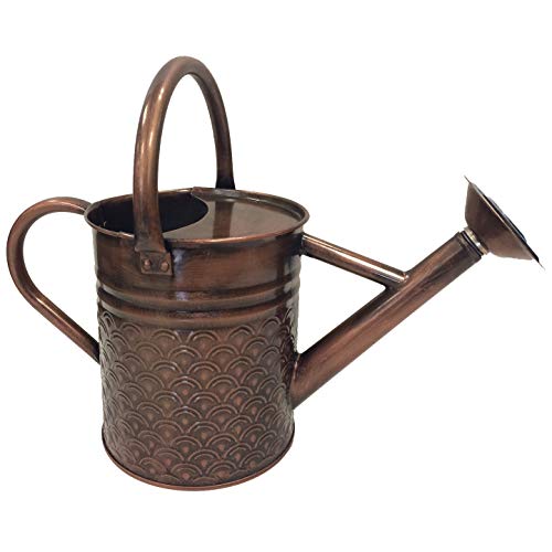 W8105SQ DF Watering Can Copper