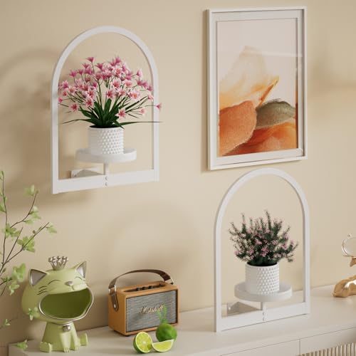 Wall Plant Holder (2 Count)