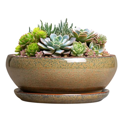 Succulent Pots (8 Inch / Speckled-brown)