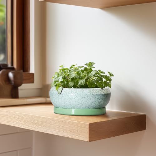 Succulent Pot 6 Inch (6 Inch / Bright Green-white)