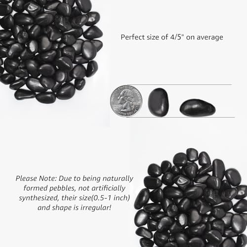 10 lbs Black River Rocks (160 Ounce)