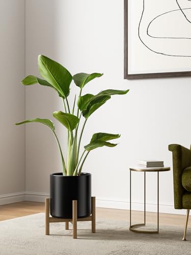 10+8+6 Inch Ceramic Pots for Plants (Black)