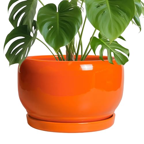 Ceramic Planter
