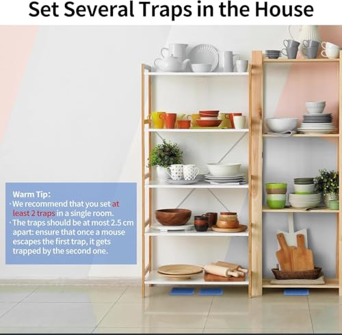 Mouse & Insect Traps 36 Pack (36 Pack / Small Mouse Traps)