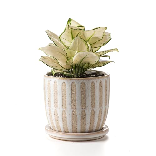 Ceramic Flower Pots Indoor