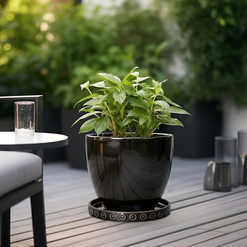 11.4 Inch Plant Pot Saucers (11.4 Inch / Black)