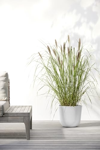 Oslo Round Flower Planter (Pure White / 10")