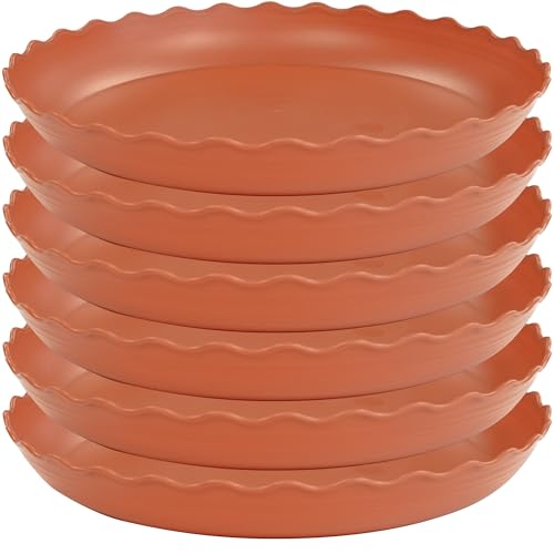 6 Pack of 12 inch Plant Saucer Plant Tray (12" (6 pack) / Terracotta)