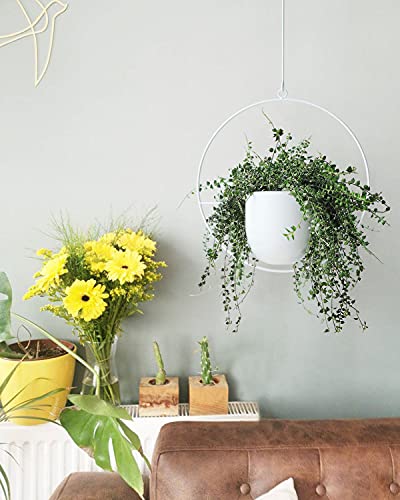 Hanging Planter Indoor Modern Boho Plant Pot Metal Wall and Ceiling Plant Holder