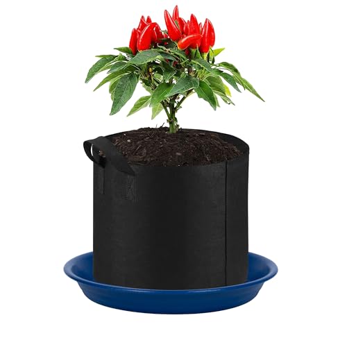 Plant Saucer Pot Tray 8 inch (8" - 6 Pack / Dark Blue)