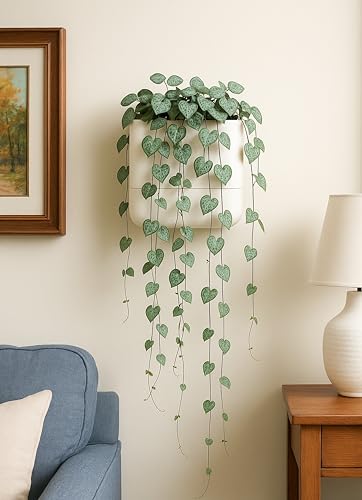 6.5 Inch Wall Mounted Self (6.5" (2 Pack) / Oatmeal)