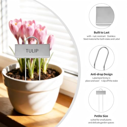 Small Size 304 Stainless Steel Plant Labels Metal Garden Plant Markers Weatherproof Stake Garden Plant Tags for Outdoor Seedling Flower (Stainless Steel-2.5 Inch Width)