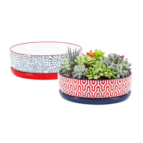 Ceramic Succulent Pots (Assorted Colors / 8 inch)