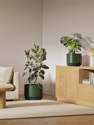 12 Inch Pots for Plants (Forest Green / 12")