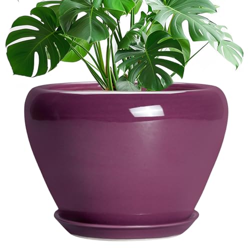 10 Inch Plant Pot (10 Inch / Purple)